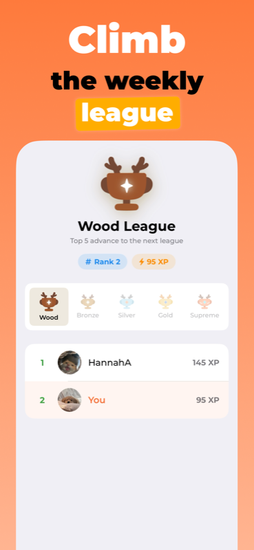 Progress, streak and daily goal